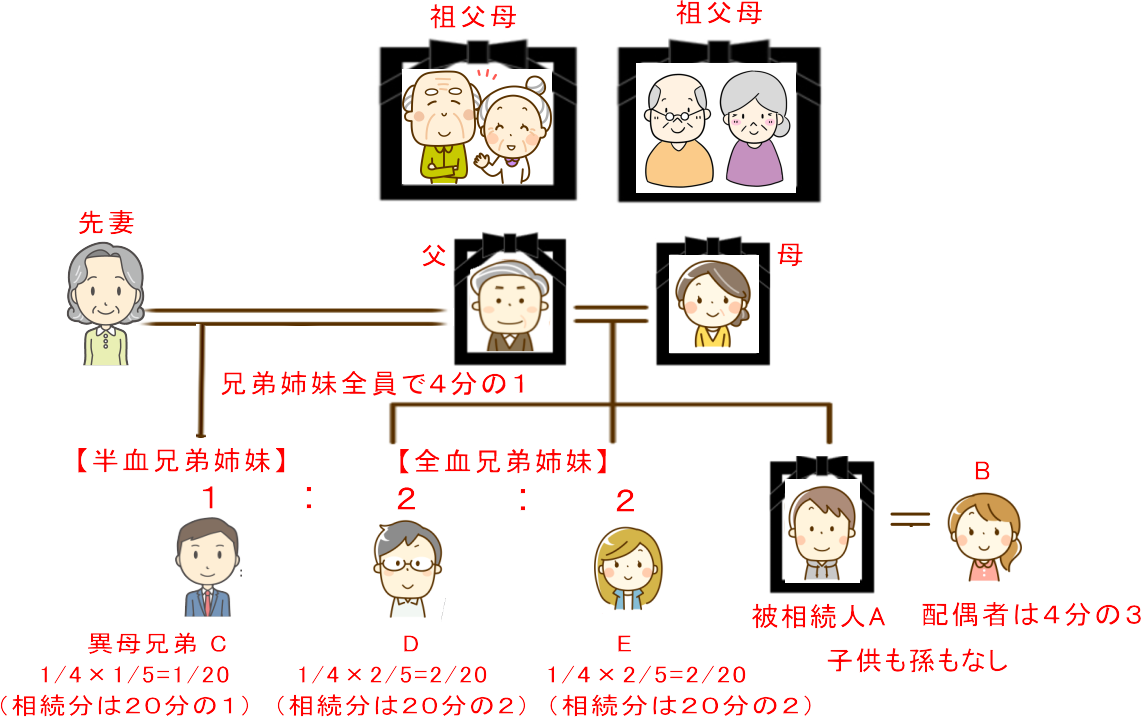 配偶者及び半血兄弟姉妹と全血兄弟姉妹が相続人の法定相続分の例